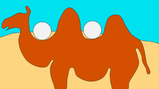 How to enjoy PROBALL Caravan 1