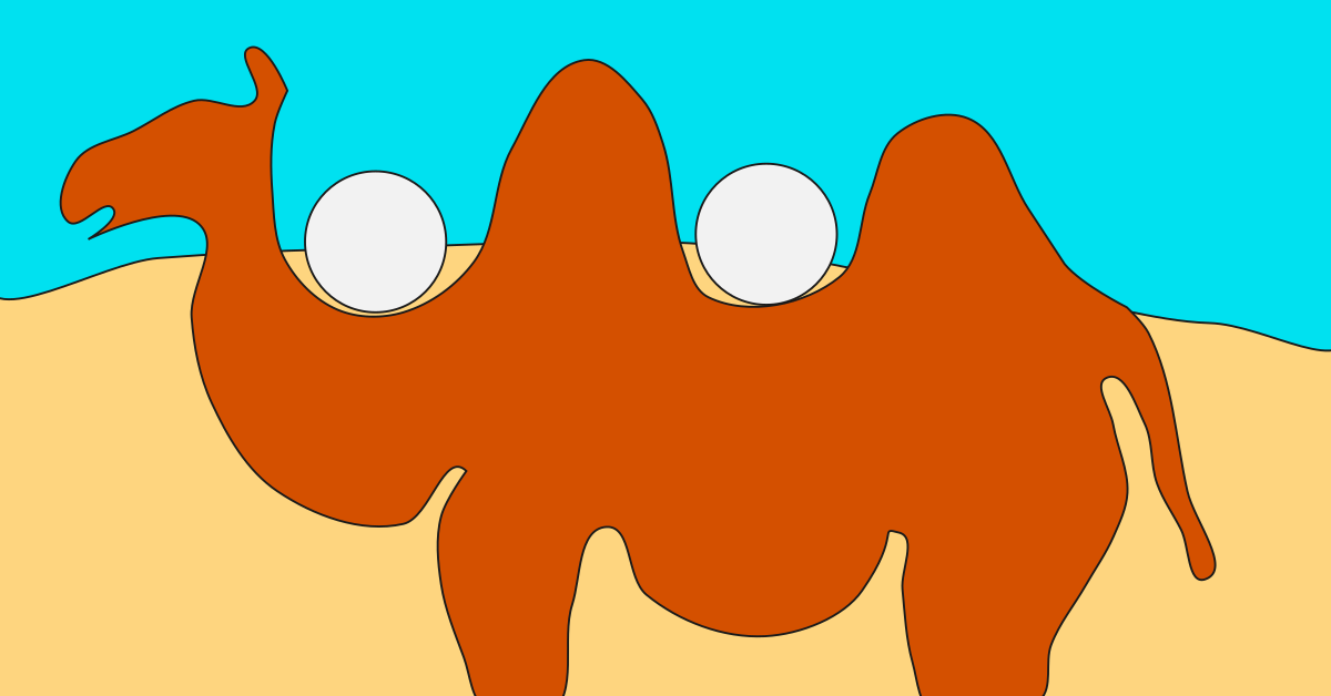 楽しみ方 (PROBALLキャラバン)